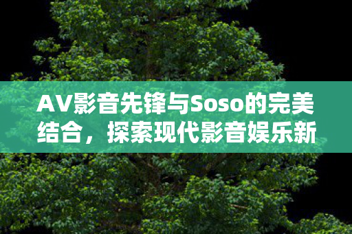 AV影音先锋与Soso的完美结合图片
