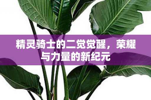 精灵骑士的二觉觉醒图片
