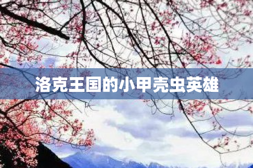 洛克王国的小甲壳虫英雄图片
