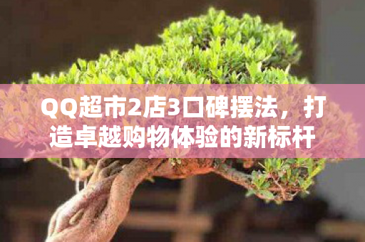 打造卓越购物体验的新标杆图片