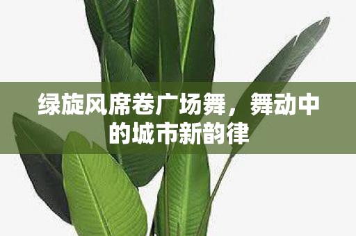 舞动中的城市新韵律图片