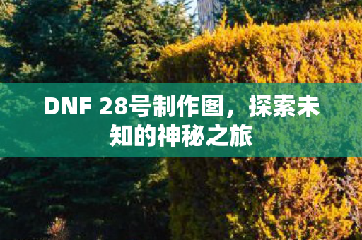 DNF 28号制作图图片