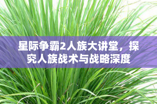 探究人族战术与战略深度图片