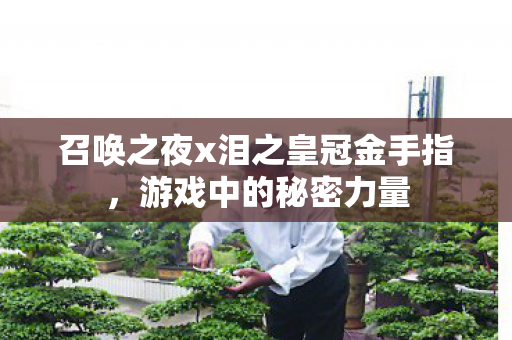 召唤之夜x泪之皇冠金手指图片