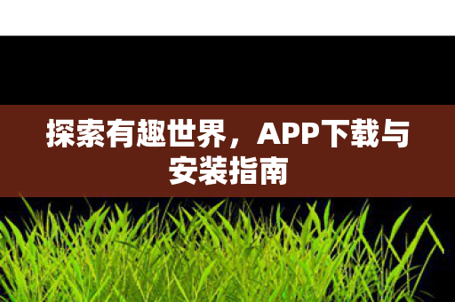 APP下载与安装指南图片