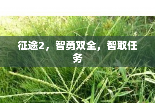 智勇双全图片