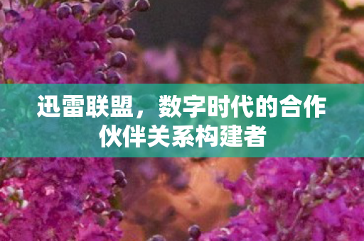 数字时代的合作伙伴关系构建者图片