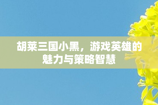 游戏英雄的魅力与策略智慧图片