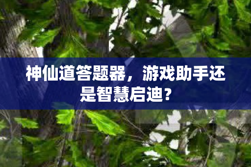 游戏助手还是智慧启迪图片