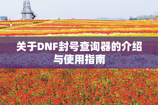 关于DNF封号查询器的介绍与使用指南图片