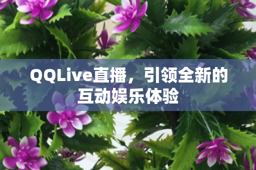 引领全新的互动娱乐体验图片