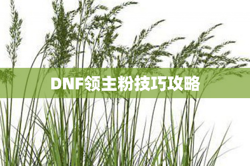DNF领主粉技巧攻略图片