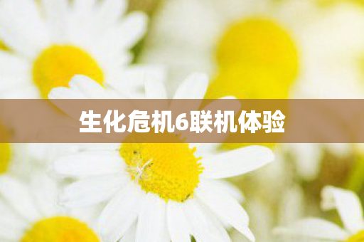 生化危机6联机体验图片