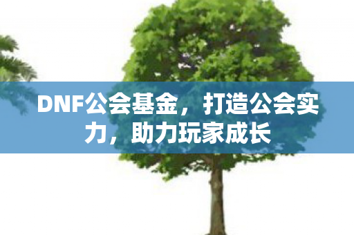 DNF公会基金图片