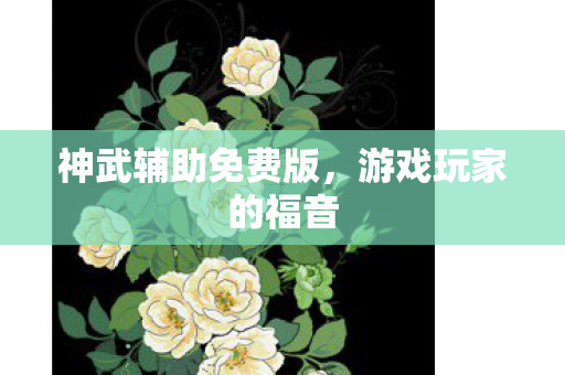 神武辅助免费版图片