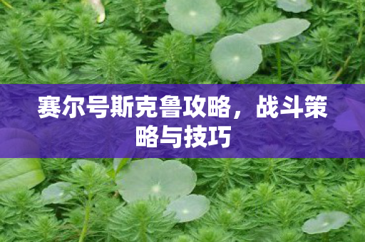 赛尔号斯克鲁攻略图片