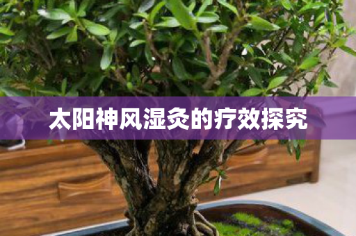 太阳神风湿灸的疗效探究图片