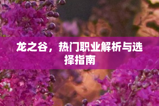 热门职业解析与选择指南图片