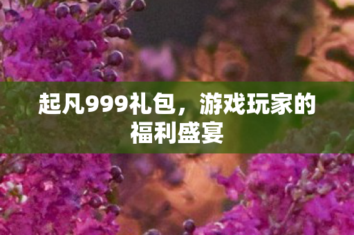 游戏玩家的福利盛宴图片