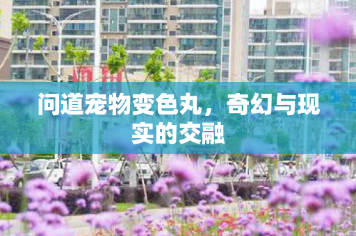 奇幻与现实的交融图片