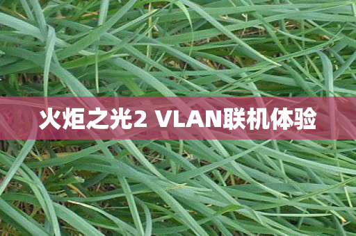 火炬之光2 VLAN联机体验图片