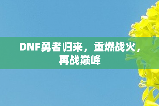 DNF勇者归来图片