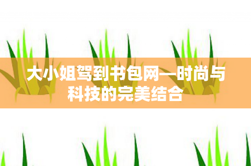 时尚与科技的完美结合图片