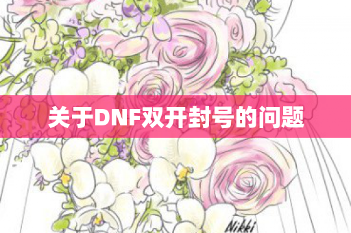 关于DNF双开封号的问题图片