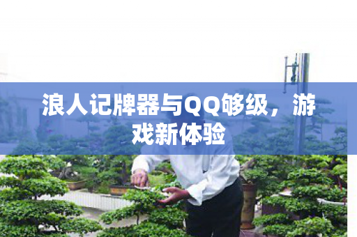 浪人记牌器与QQ够级图片