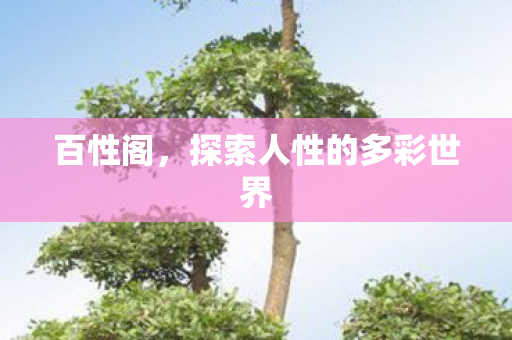 探索人性的多彩世界图片