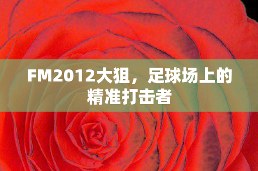 足球场上的精准打击者图片