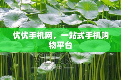 一站式手机购物平台图片