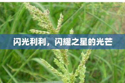 闪耀之星的光芒图片