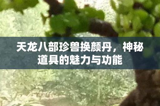 神秘道具的魅力与功能图片