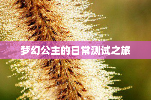 梦幻公主的日常测试之旅图片