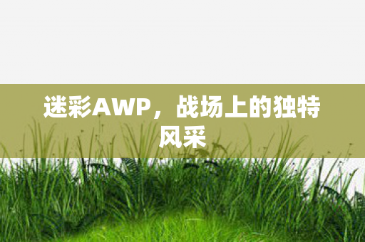 战场上的独特风采图片