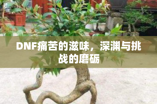 DNF痛苦的滋味图片