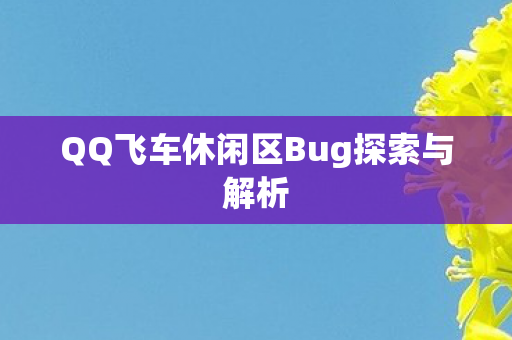 QQ飞车休闲区Bug探索与解析图片