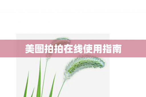 美图拍拍在线使用指南图片