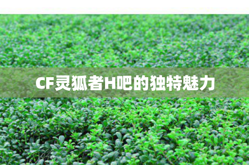 CF灵狐者H吧的独特魅力图片