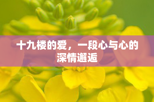 一段心与心的深情邂逅图片