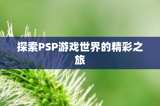 探索PSP游戏世界的精彩之旅图片