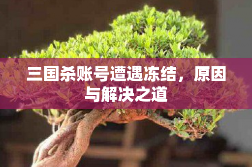 三国杀账号遭遇冻结图片