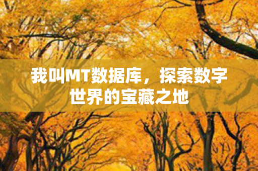 探索数字世界的宝藏之地图片