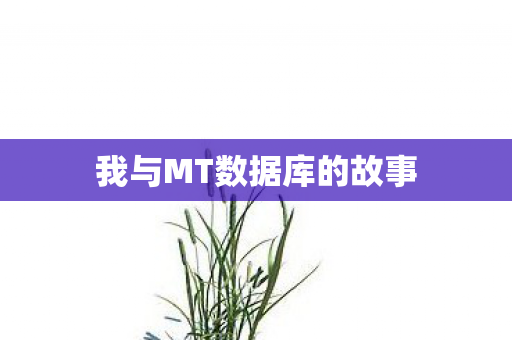 我与MT数据库的故事图片