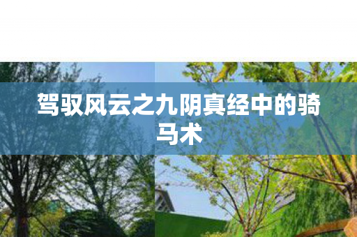 驾驭风云之九阴真经中的骑马术图片