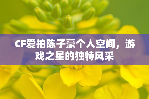 CF爱拍陈子豪个人空间图片
