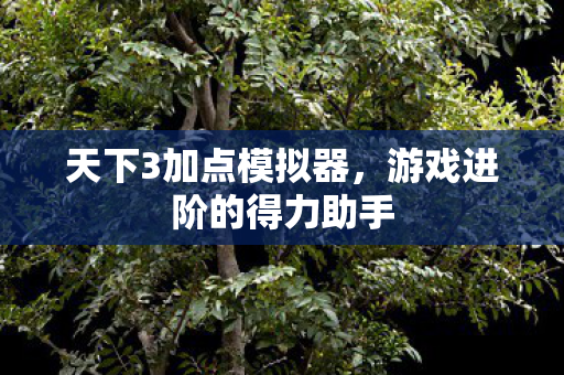 游戏进阶的得力助手图片