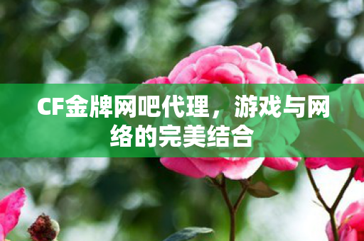 游戏与网络的完美结合图片