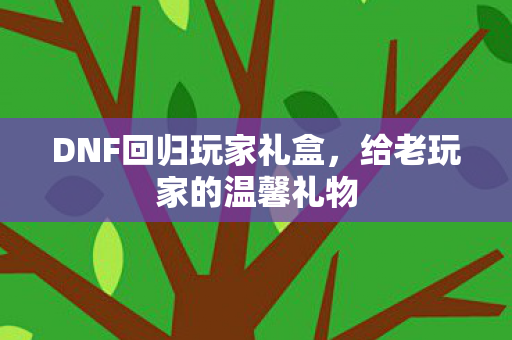 DNF回归玩家礼盒图片